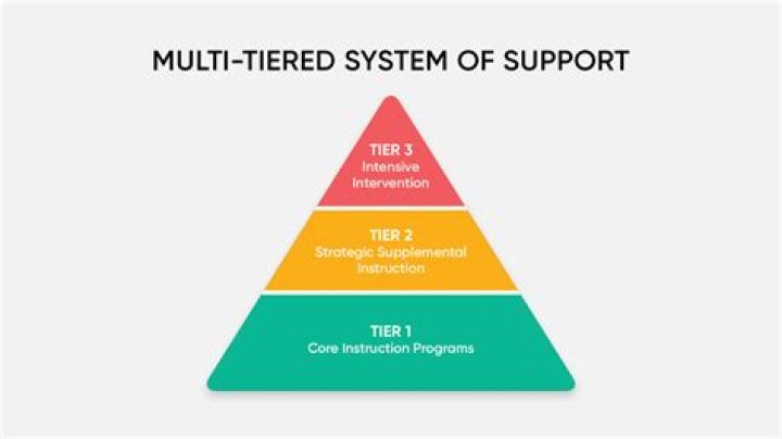 A Journey Of Support And Evolution