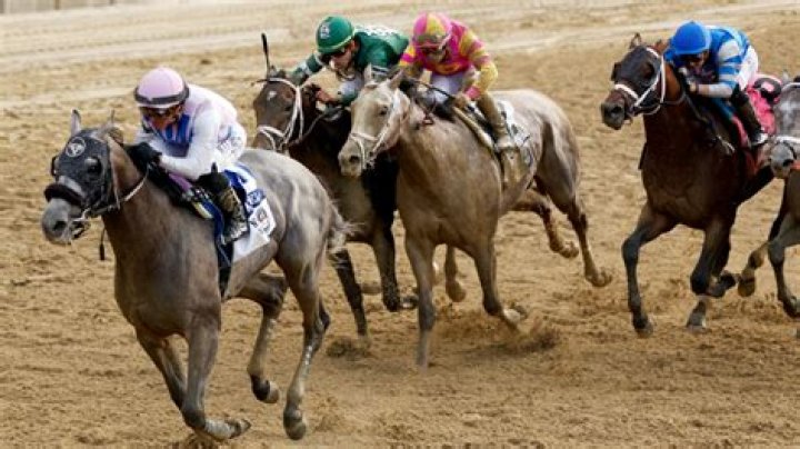 Belmont Stakes 2023 Winner and Results ·