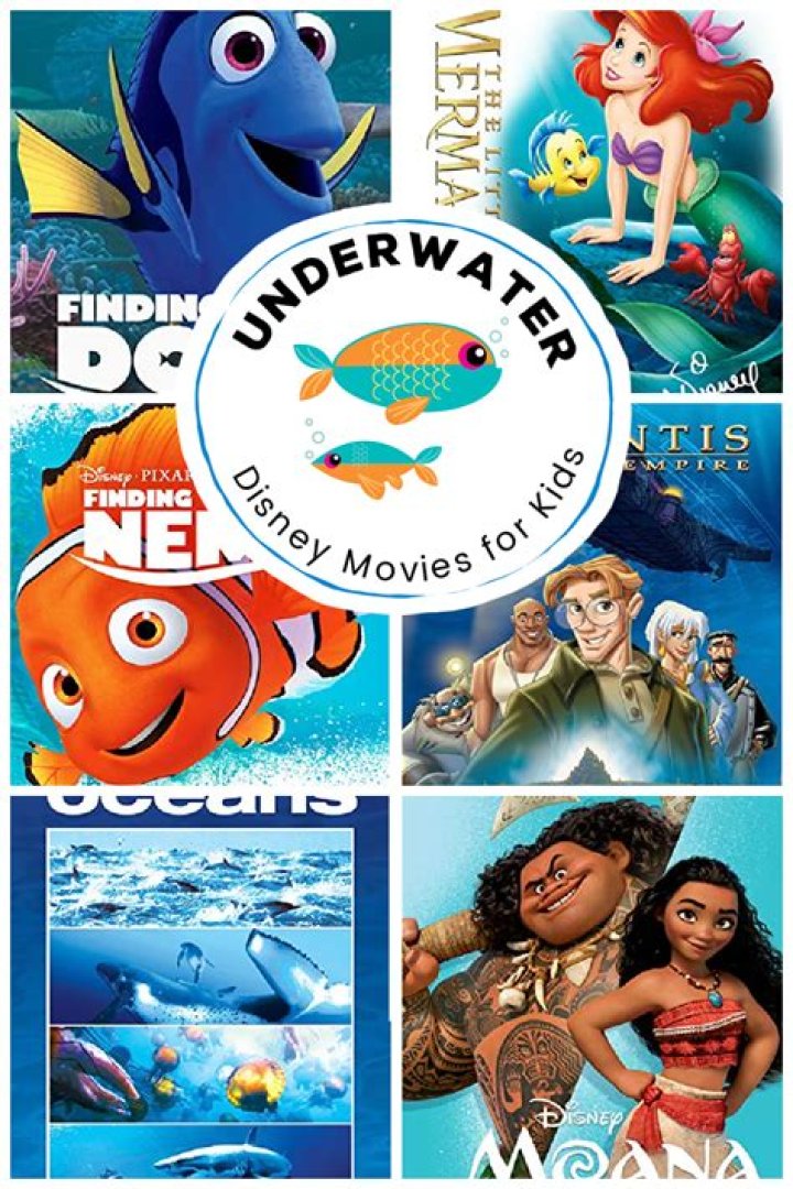 Movies, Shows, And Captivating Insights