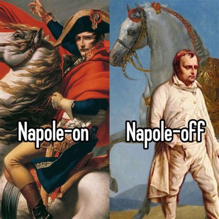 The Taylor Napoleon Meme Decoded