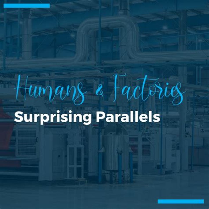 Uncovering Surprising Parallels And Profound Insights